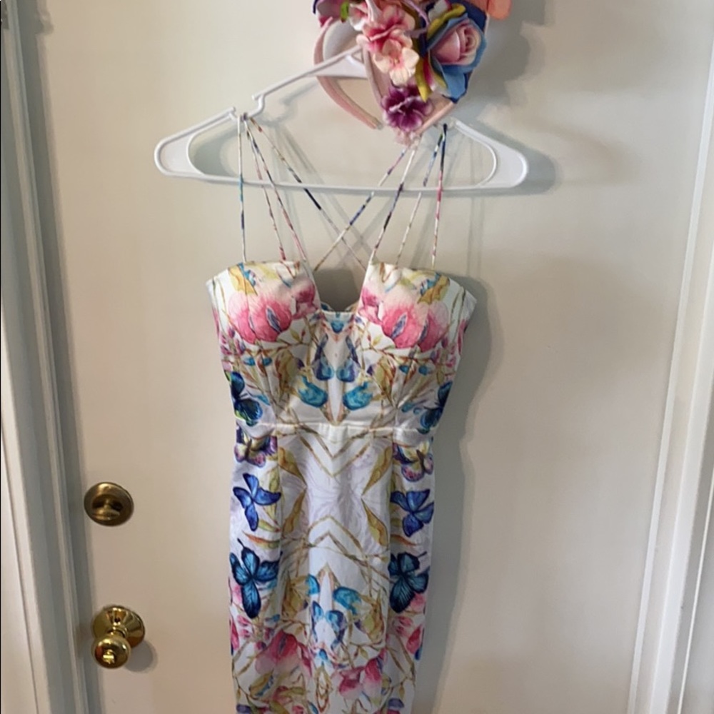 Poshfrocks dress and fasanater